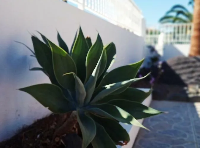 Mafasca * Corralejo